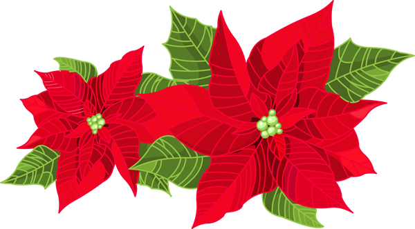 Wreaths, Greenery and Bows