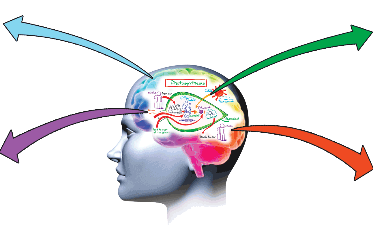 THE MEMORY GURU OF INDIA -MEMORY INTRO – ????? ??? ...