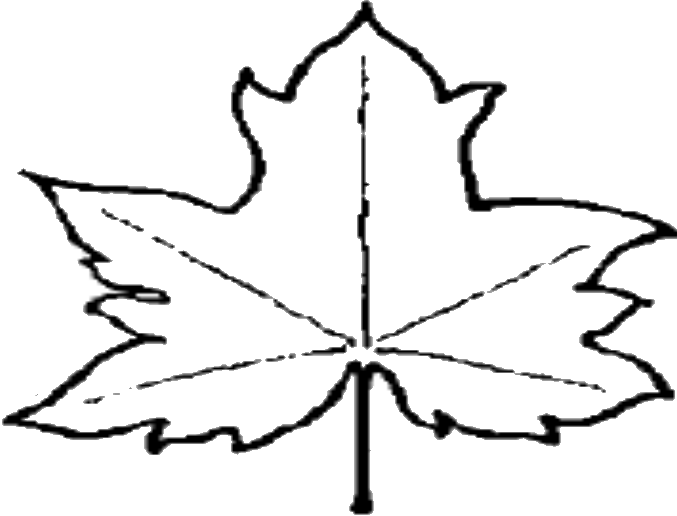 Leaf Outline Template - ClipArt Best