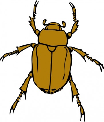 Beetle Bug clip art Free vector in Open office drawing svg ( .svg ...