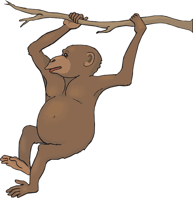Swinging Monkey Clipart - Free Clipart Images