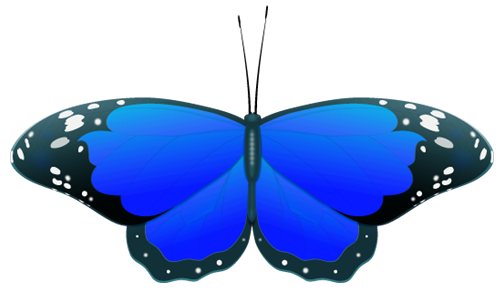 Blue butterfly clipart