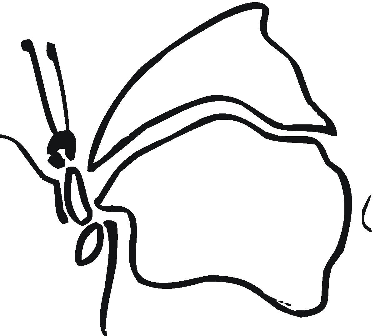 Butterfly Outline Coloring Online | Super Coloring