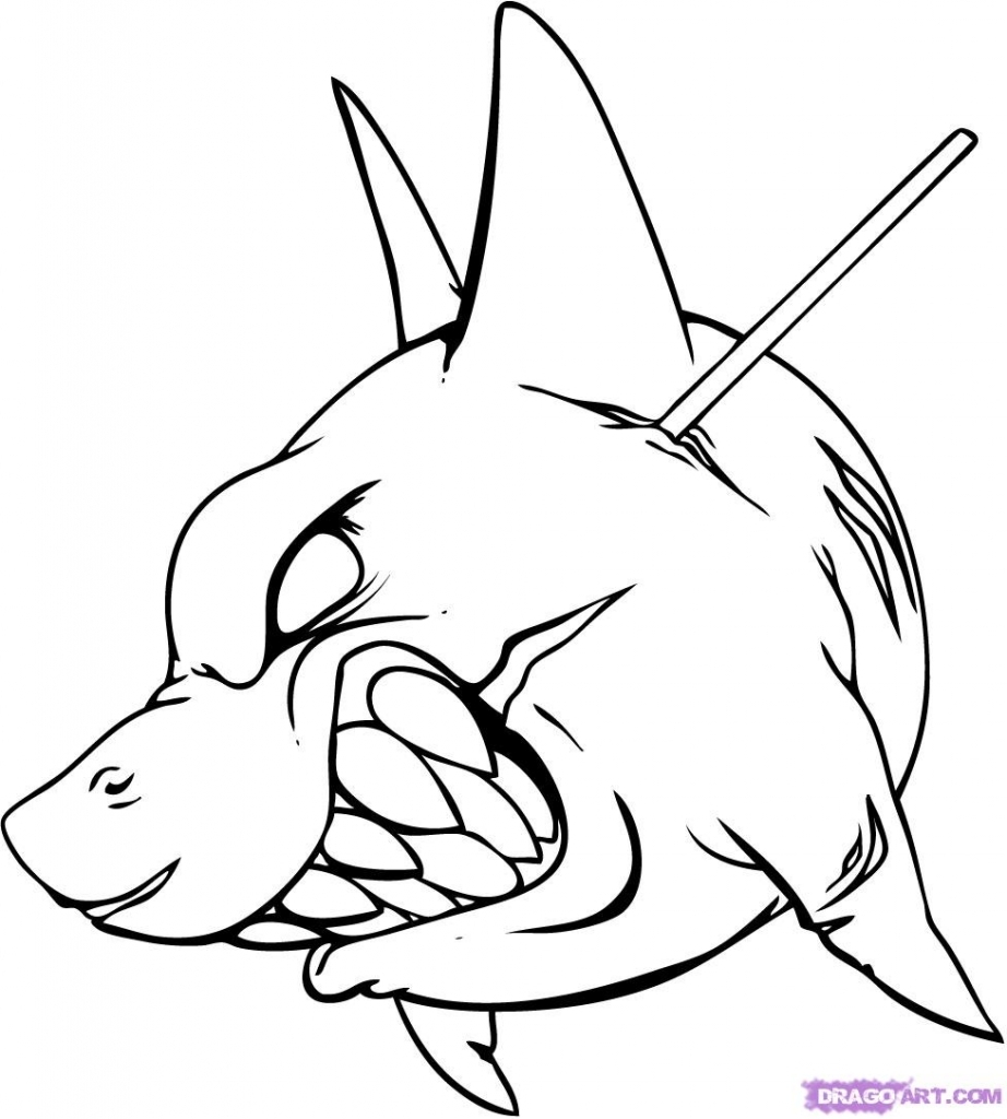 How To Draw A Shark Step By Step - Drawing Pencil