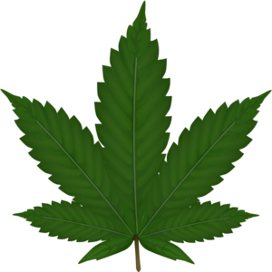 Pot Leaf Clip Art - Tumundografico