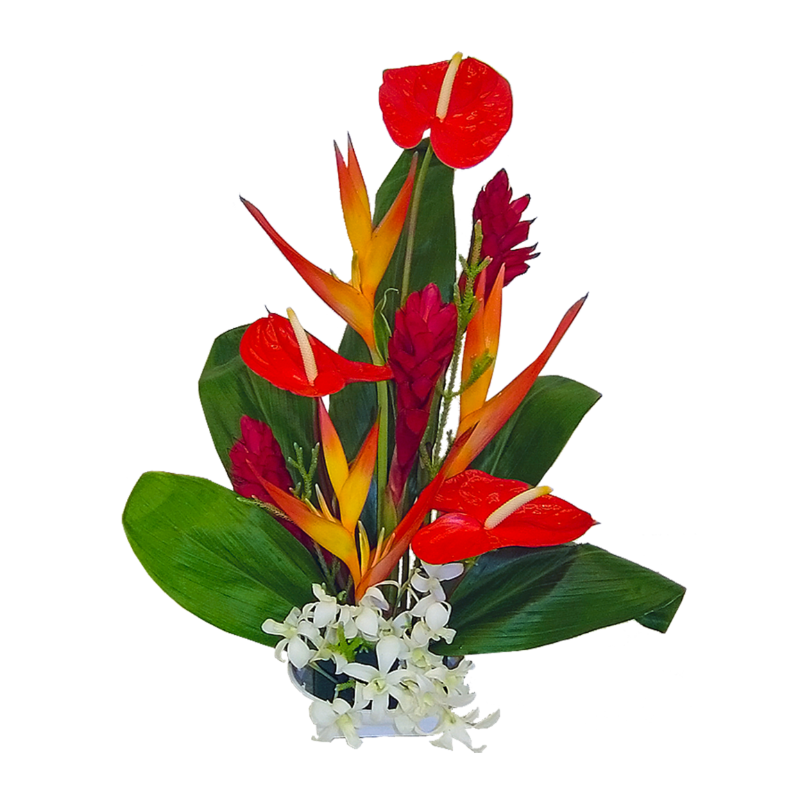 Picture Of Hawaii State Flower Clipart - Free to use Clip Art Resource