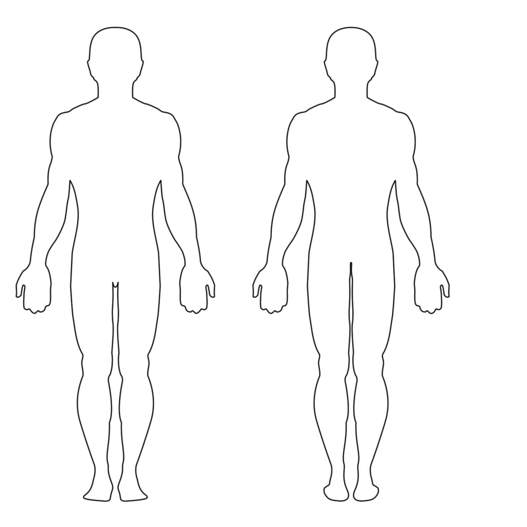 Human Body Of Girls - Human Body Diagram