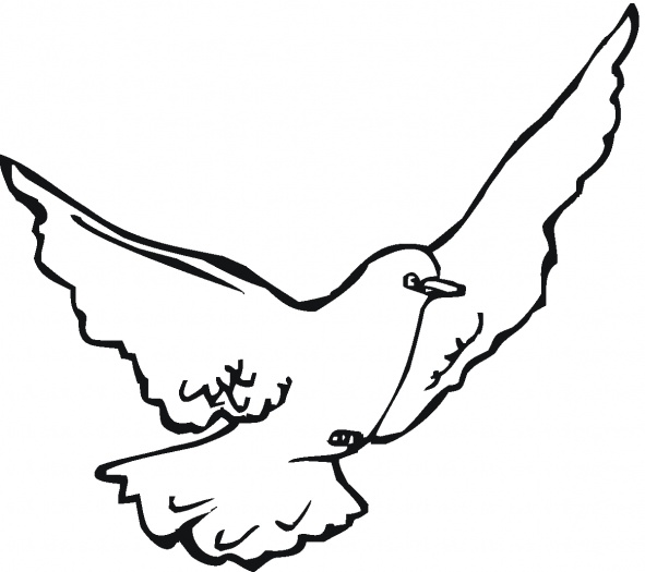 Doves coloring pages | Super Coloring