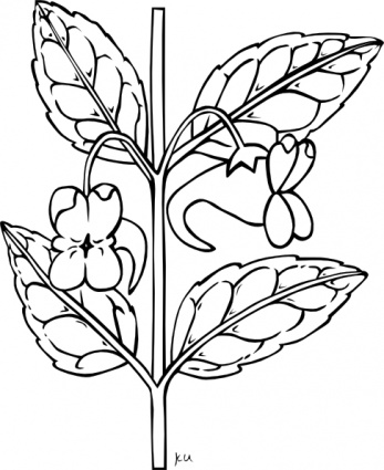Stem With Flower Outline clip art vector, free vectors
