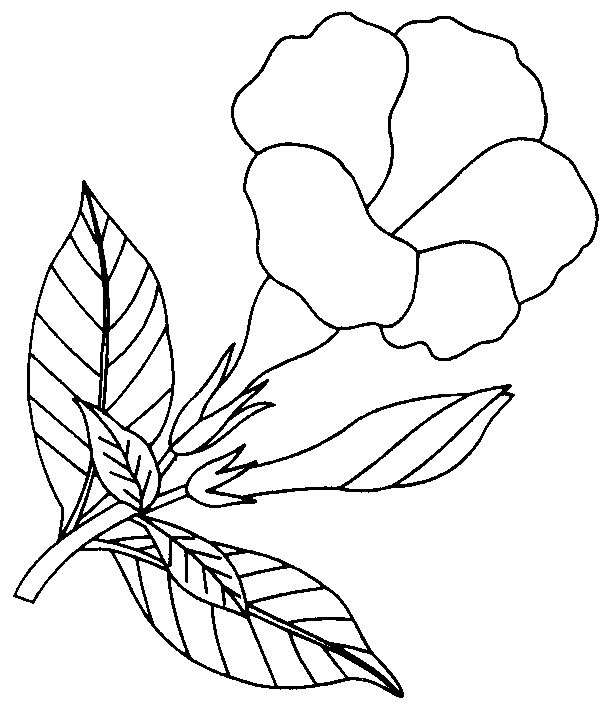 mahir-tik.com » Blog Archive » Clipart – Bunga pokok | Free Clipart