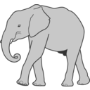 clipart-elephant-c3d6.png