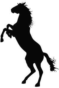 standing_horse.jpg