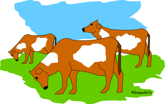 Livestock Clipart - Tumundografico