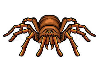 Creepy spider vector silhouette on white background. Tarantula ...