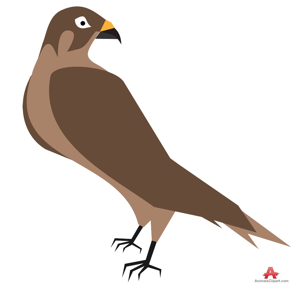 Hawk clip art free - Clipartix