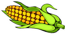 Cricklewood Corn Maze