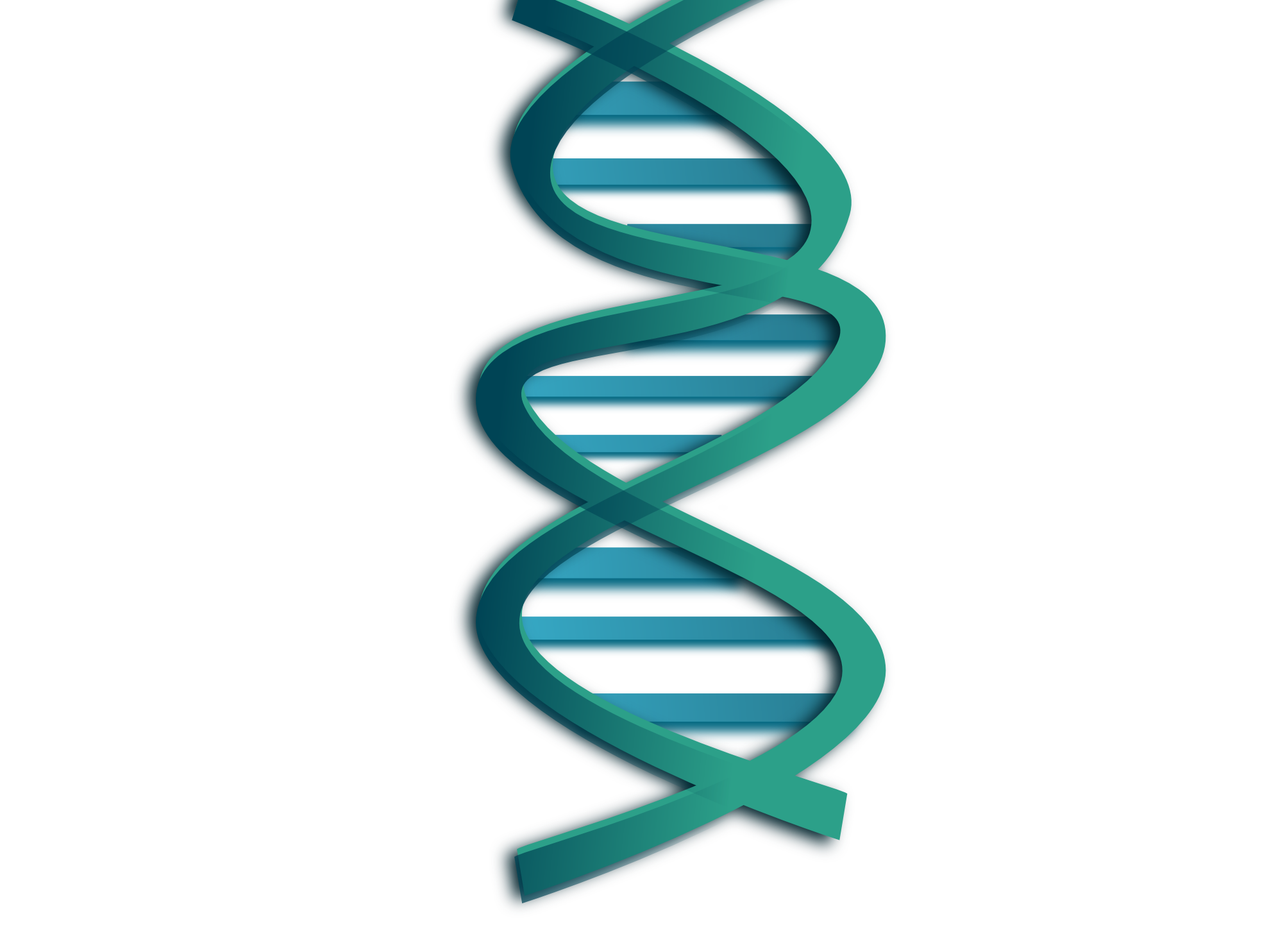 Open source clipart bio dna