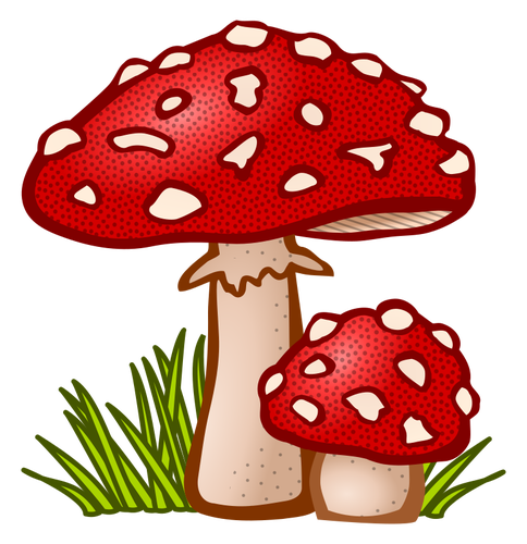 Colored toadstool | Public domain vectors