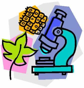 Biology Clipart | Free Download Clip Art | Free Clip Art | on ...
