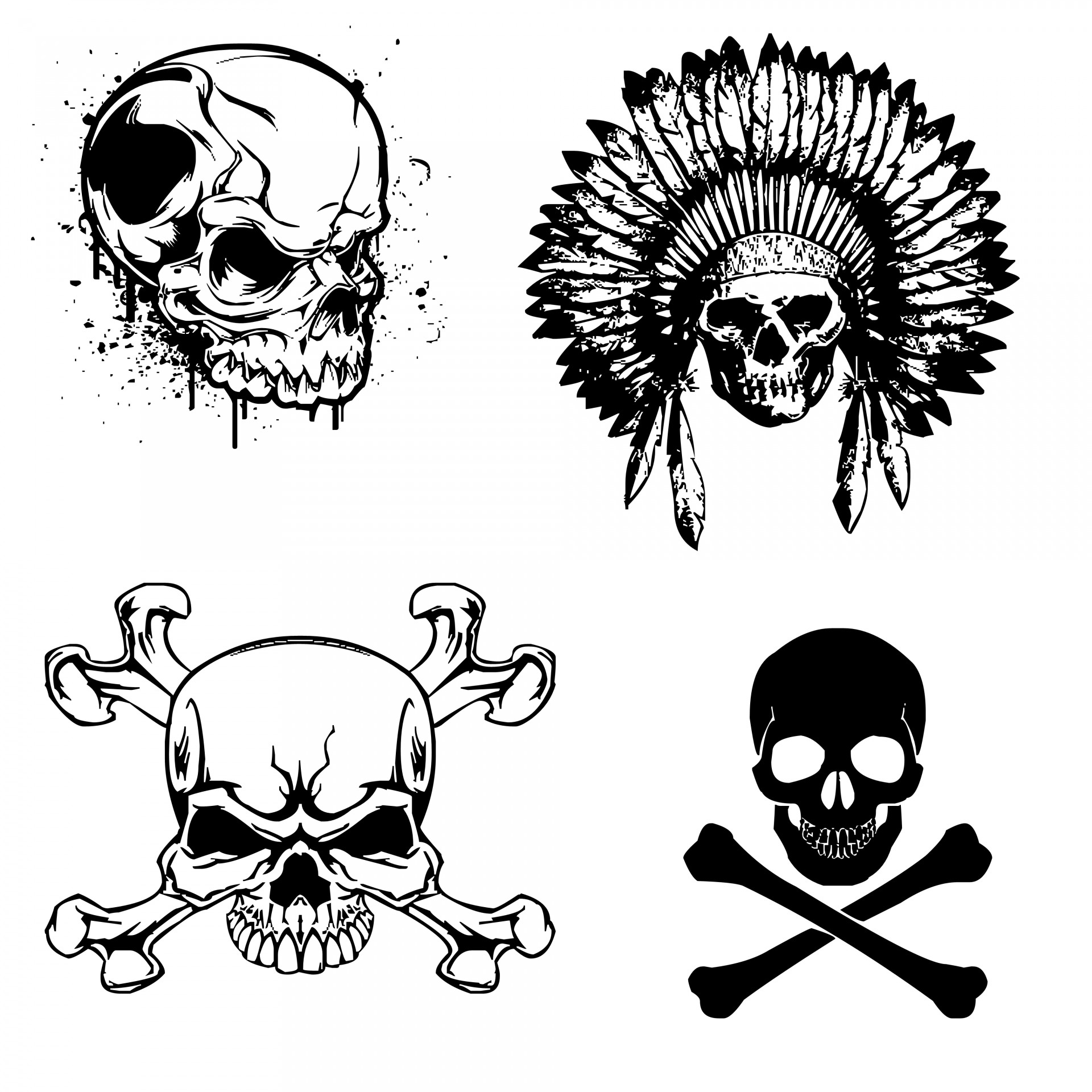 Scull Set Free Stock Photo - Public Domain Pictures