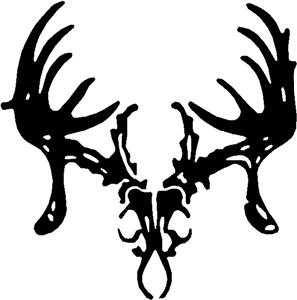 2 Whitetail Buck Skull Decals Stickers Hot New Item! by ...