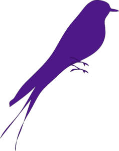 big-bird-md.png