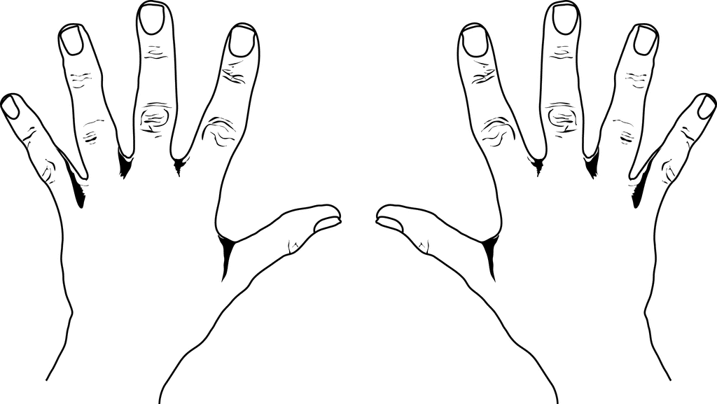 European Style Counting Hands | ClipArt ETC