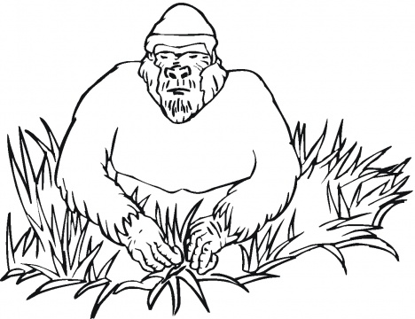 Gorillas coloring pages | Super Coloring