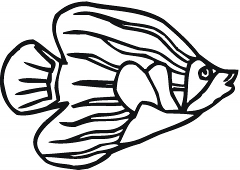 Fish in Seaweed coloring page | Super Coloring