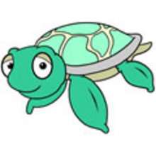DRAW with JEFF - How to draw a turtle
