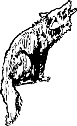 Coyote clip art vector, free vectors