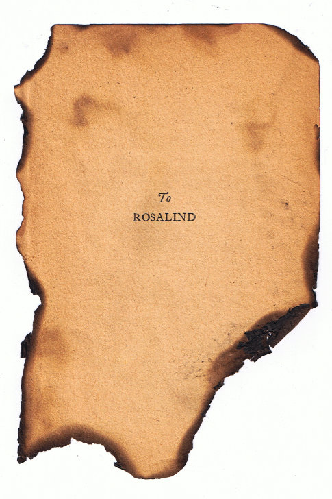 Free Texture Tuesday: Burned Paper - BittBox