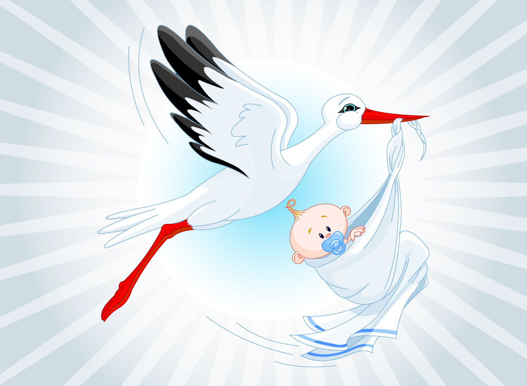 Stork With Baby