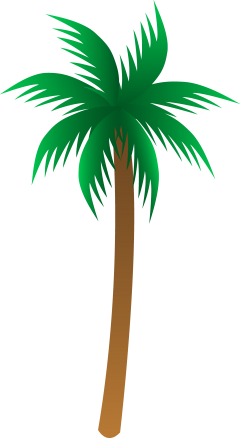 Palm tree PNG images, download free pictures