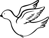 img_1227725449899_51.jpg