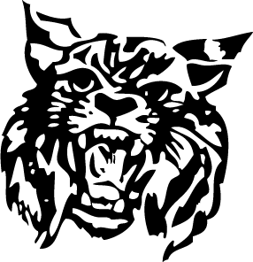 Illustrator
