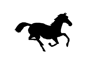 Beautiful Animated Horse Gifs at Best Animations