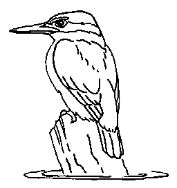 Kiwi Stamping Art Rubber Stamps manufactured in New Zealand; Birds ...
