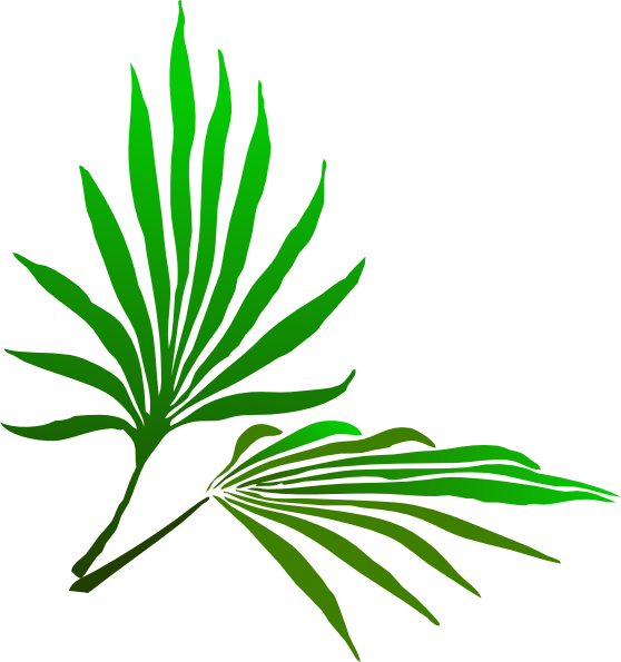 Palm branch clip art