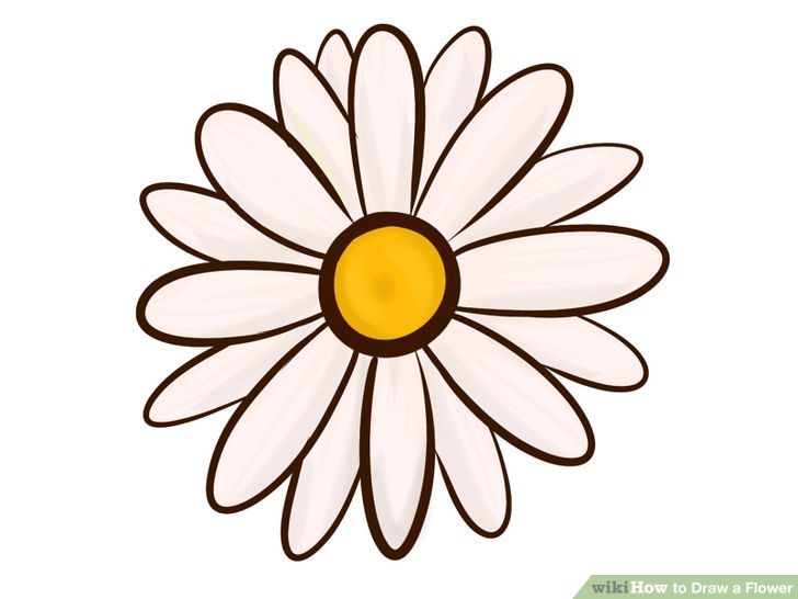 9 Ways to Draw a Flower - wikiHow