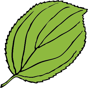 Cartoon Rainforest Leaves - ClipArt Best