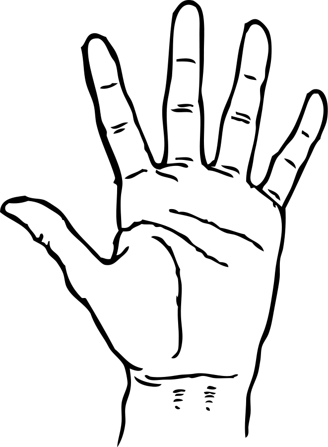 A Picture Of A Hand