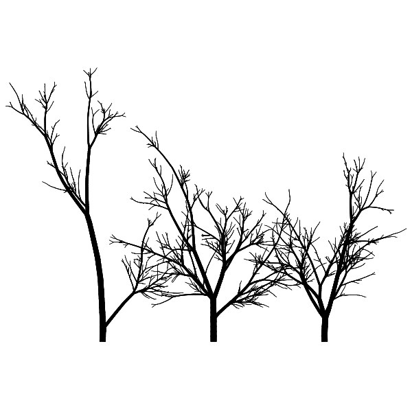 File:CFDG Forest.png