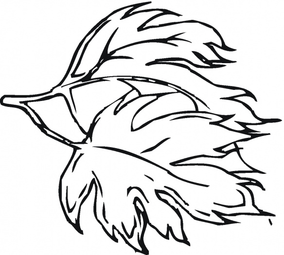 Black maple leaf coloring page | Super Coloring
