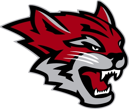 The Orion : No new Wildcat logo for club sports