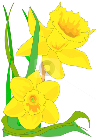Daffodil Clipart
