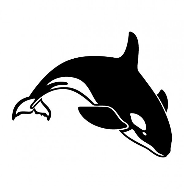 XOO.me :: Diving Killer Whale Vector Graphic