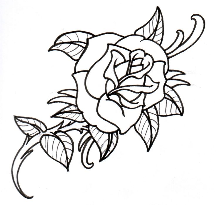 Rose Outline | Tattoos, Rose ...