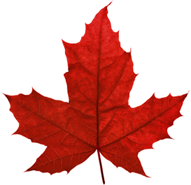 Canada Maple Leaf PNG Transparent Images | PNG All