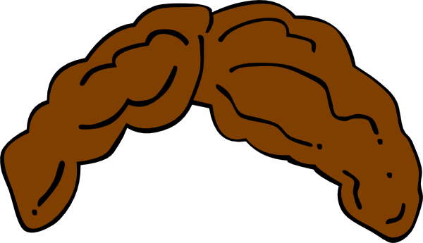 Hair Clipart - Clipartion.com